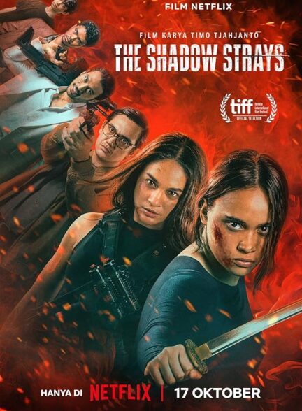 دانلود فیلم ولگردهای سایه The Shadow Strays 2024