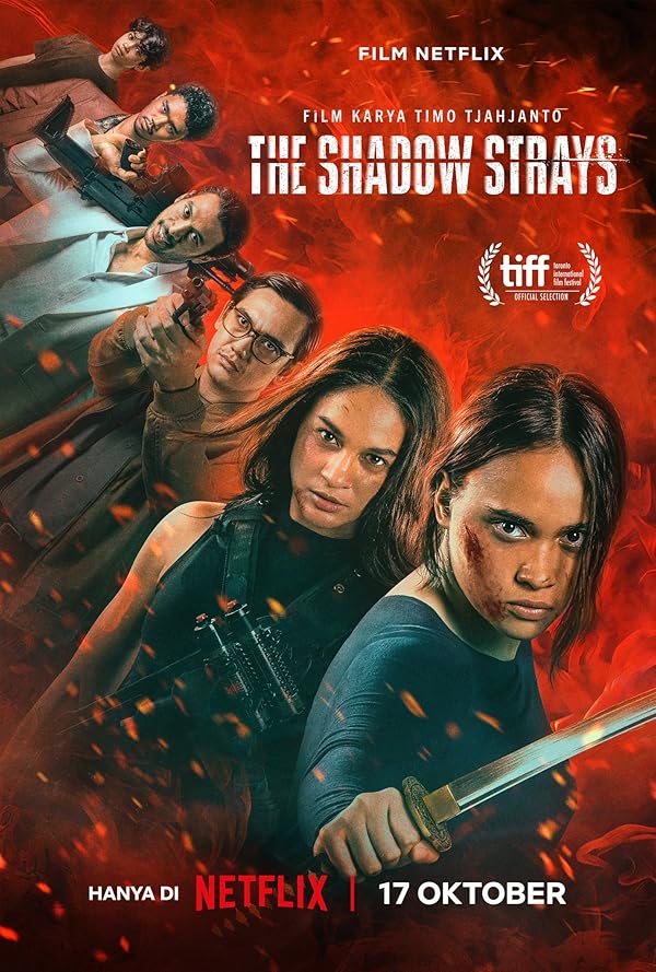 دانلود فیلم ولگردهای سایه The Shadow Strays 2024